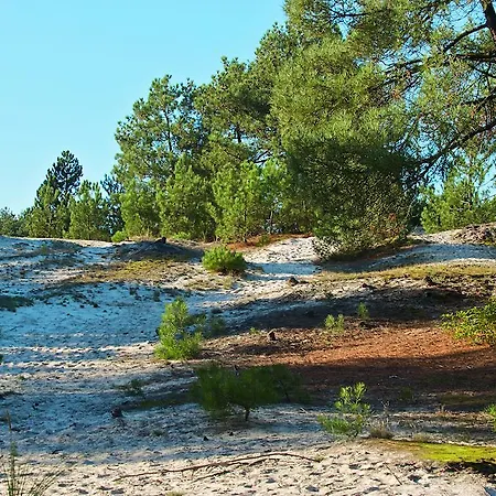 Holiday park Park Scorleduyn 3*