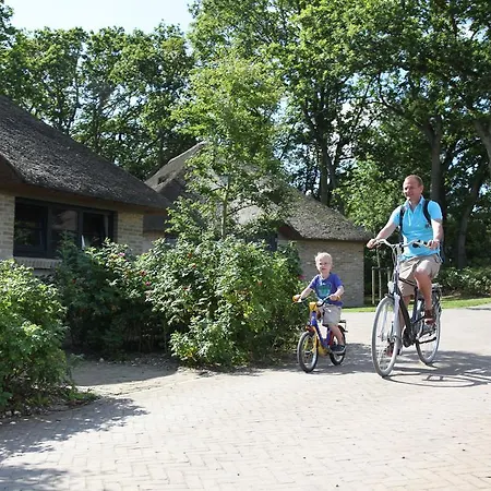 ホリデーパーク Park Scorleduyn