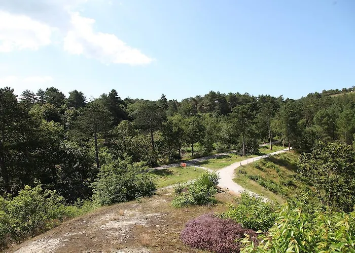 Parque de vacaciones Park Scorleduyn 3*